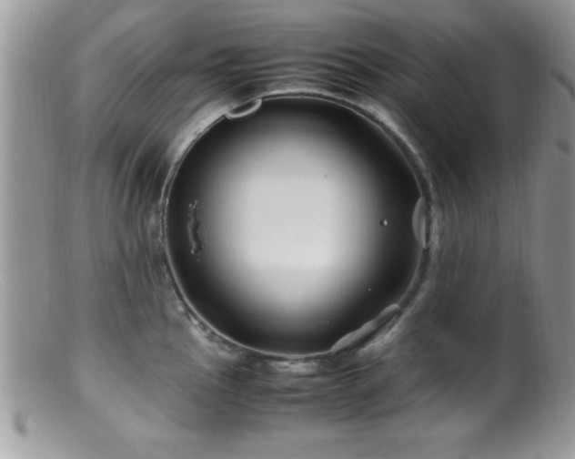 X0000099511145200805151453