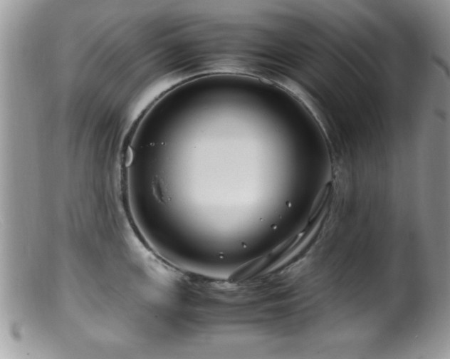 X0000099511147200805151453