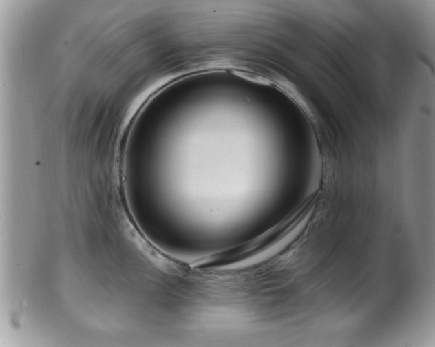 X0000099511148200805151453
