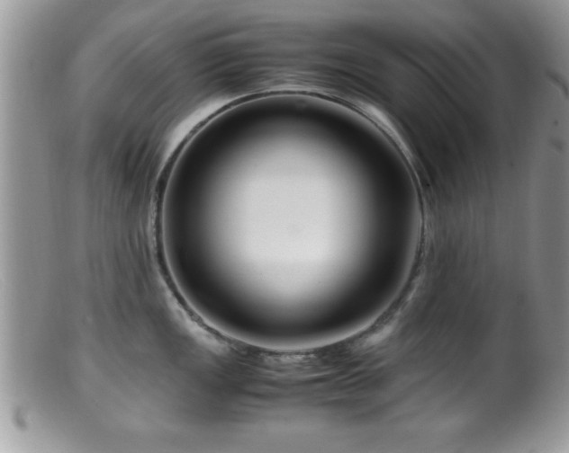 X0000099511149200805151453