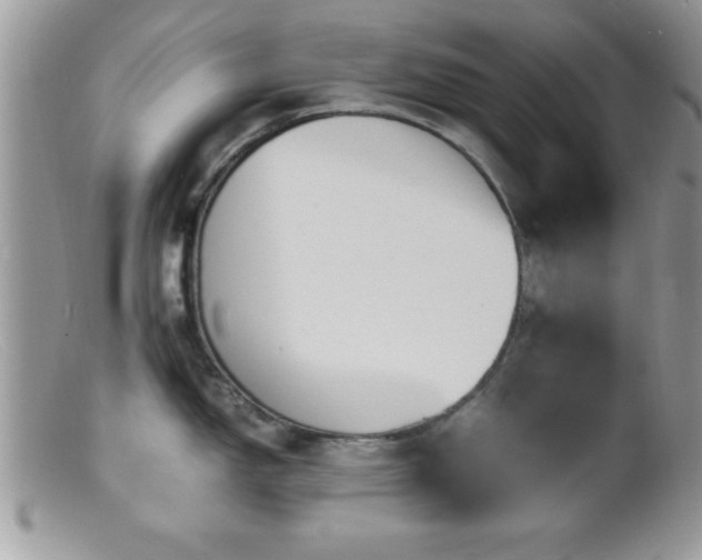 X0000099511150200805151453