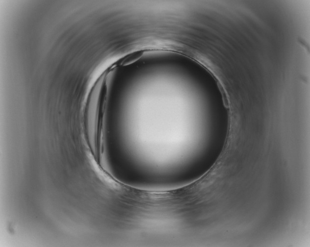 X0000099511152200805151453