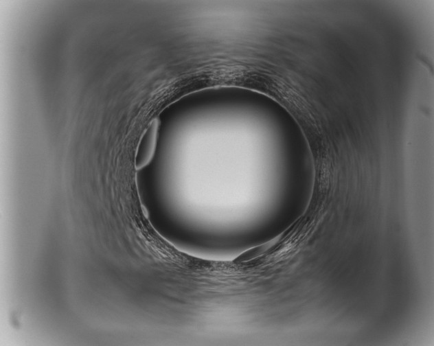 X0000099511153200805151452