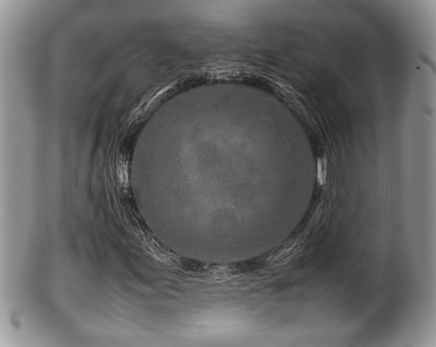 X0000099511155200805151452