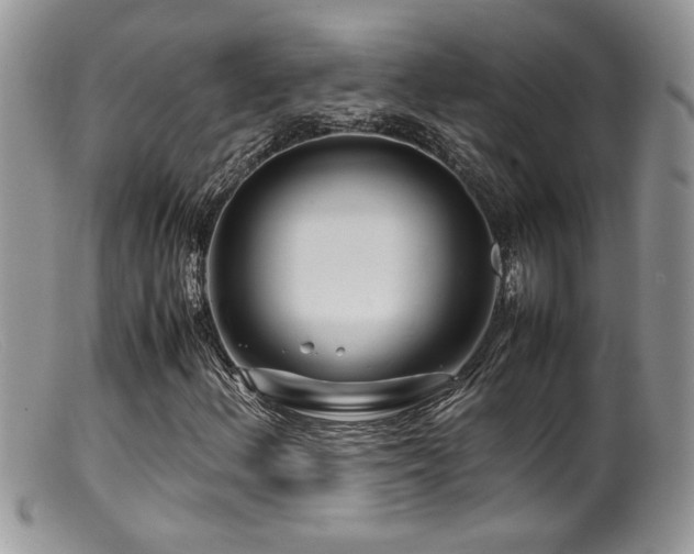 X0000099511156200805151452