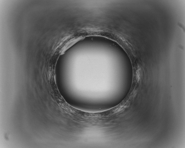 X0000099511157200805151452