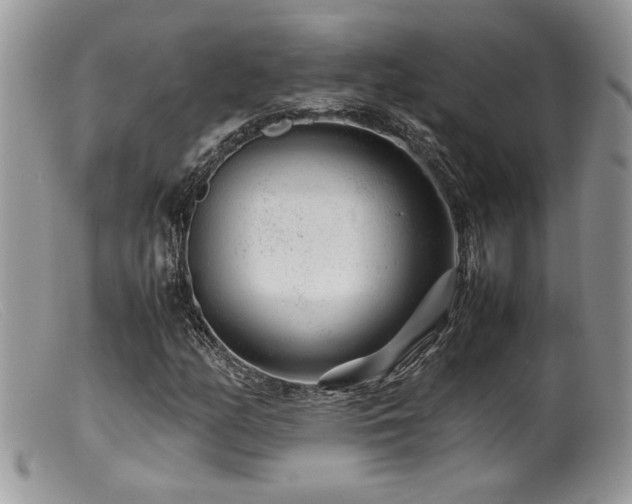 X0000099511158200805151452