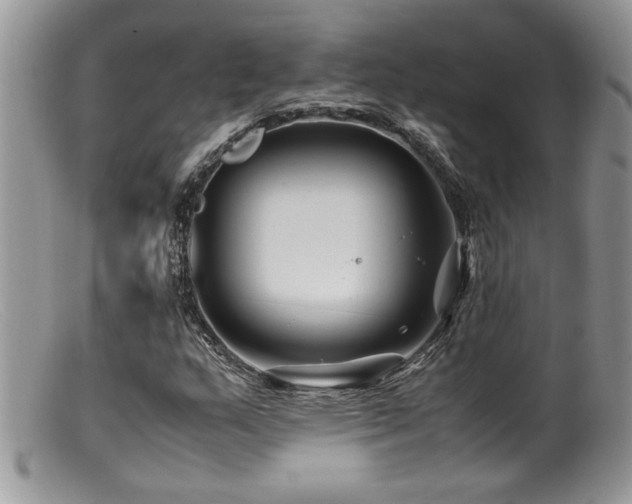 X0000099511159200805151452