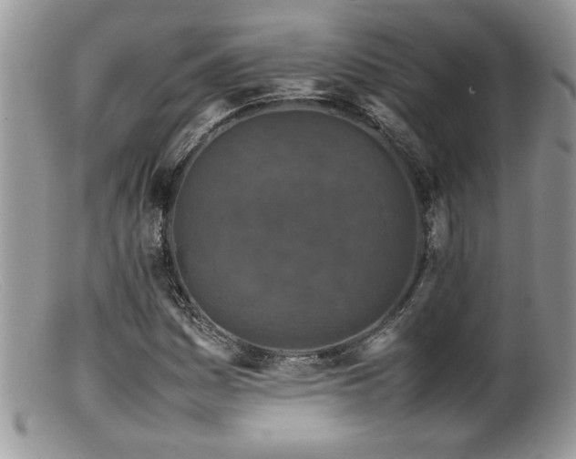 X0000099511161200805151452