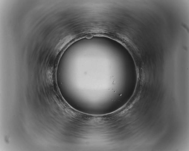X0000099511162200805151452