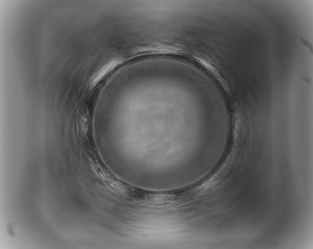 X0000099511163200805151452