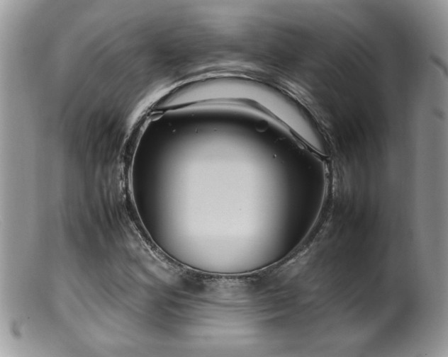 X0000099511164200805151452