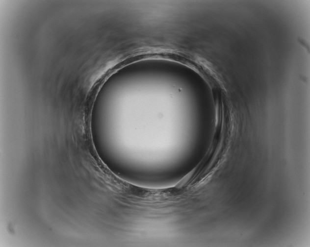 X0000099511165200805151452
