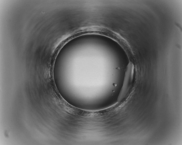 X0000099511166200805151452
