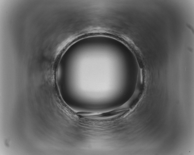 X0000099511167200805151452