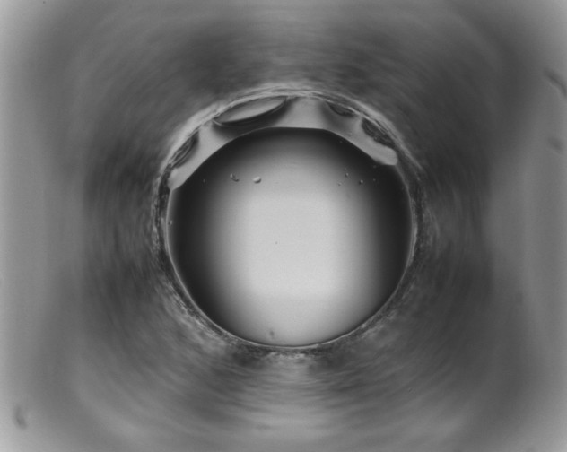 X0000099511168200805151452