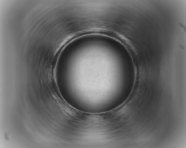 X0000099511170200805151452