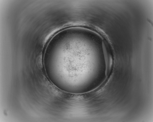 X0000099511174200805151452