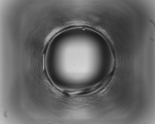 X0000099511175200805151452
