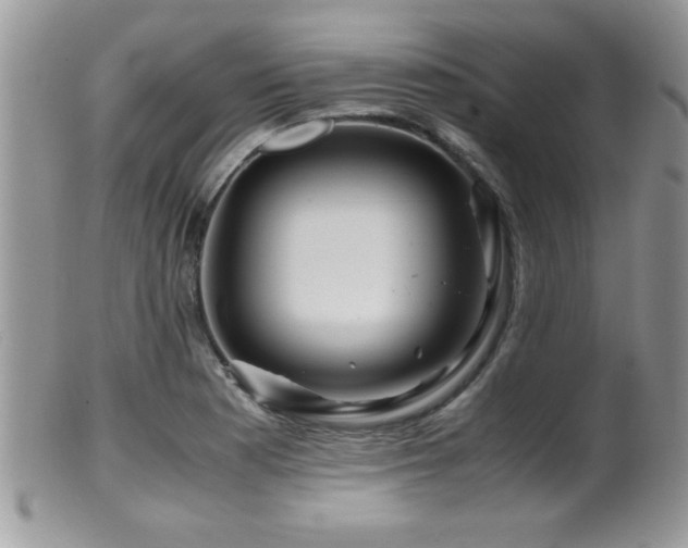 X0000099511177200805151452