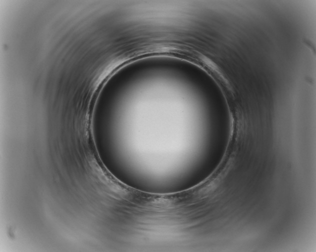 X0000099511178200805151452