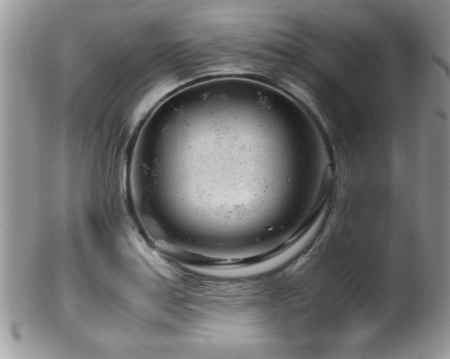 X0000099511179200805151452