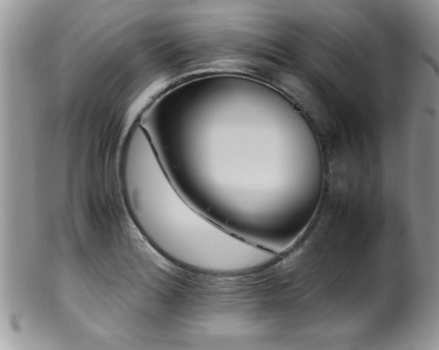 X0000099511180200805151452