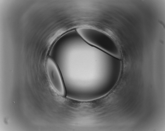 X0000099511181200805151452