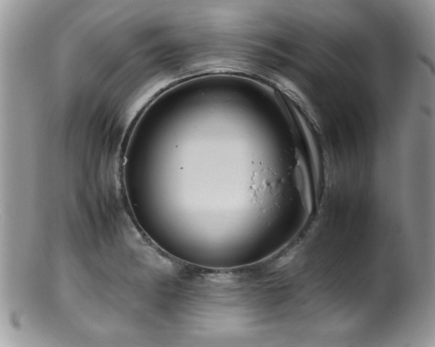 X0000099511182200805151452