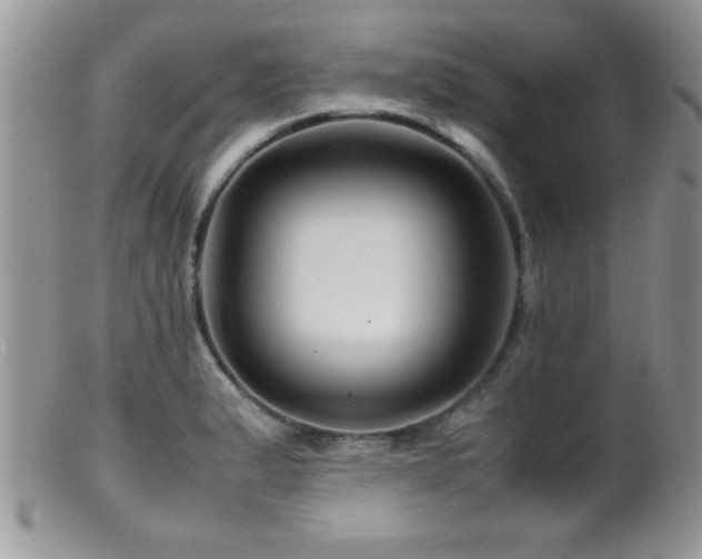 X0000099511183200805151452
