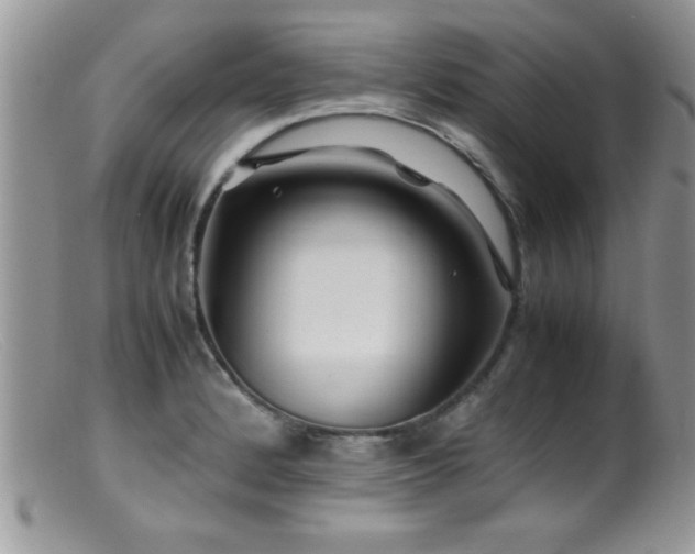 X0000099511184200805151452