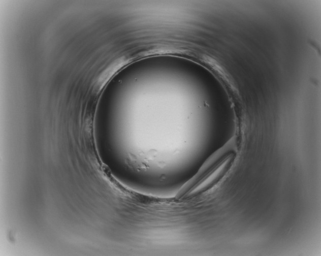 X0000099511185200805151452