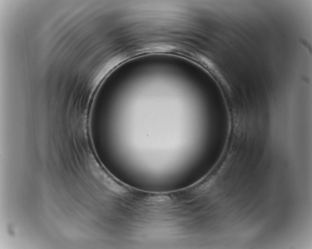 X0000099511186200805151452