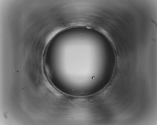 X0000099511187200805151452