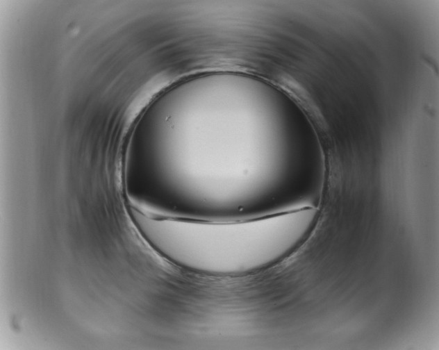 X0000099511188200805151452