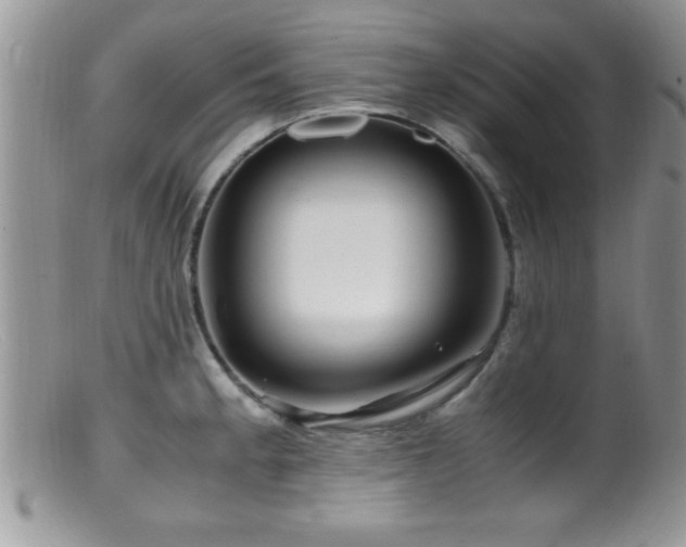 X0000099511189200805151452