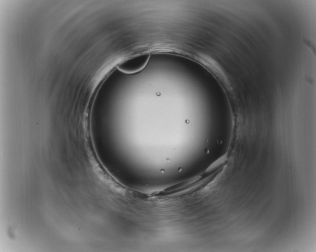 X0000099511190200805151452