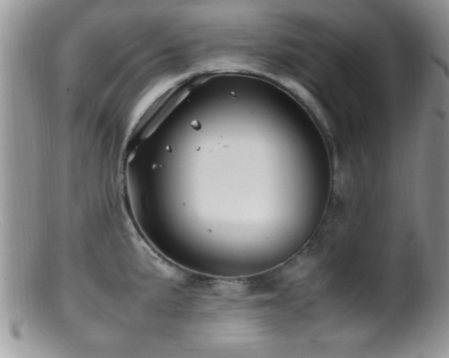 X0000099511191200805151452