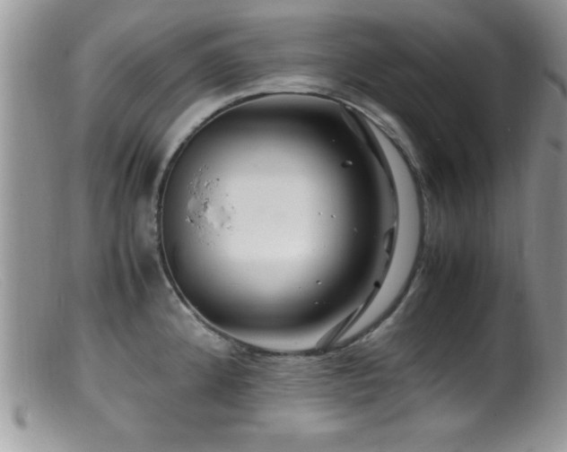 X0000099511192200805151452