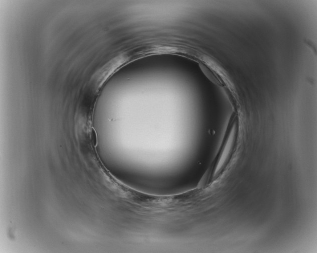X0000099511193200805151452