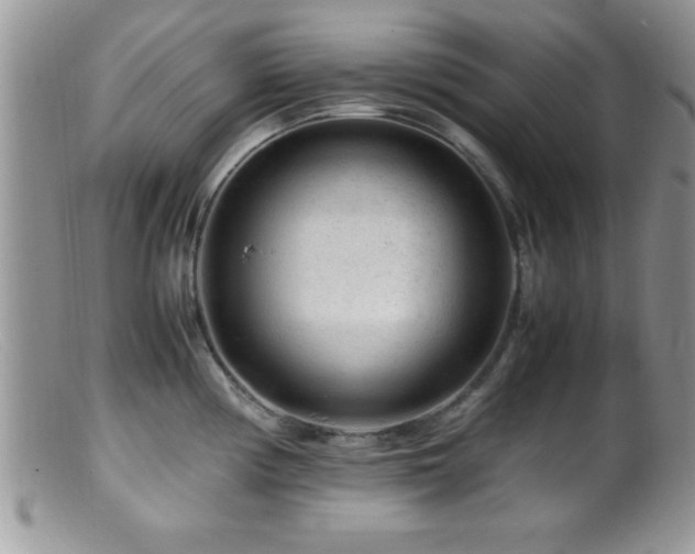 X0000099511194200805151452