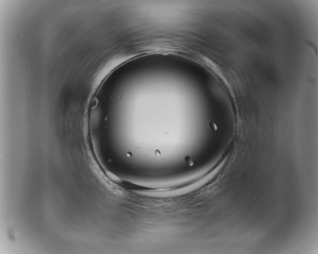 X0000099511195200805151452
