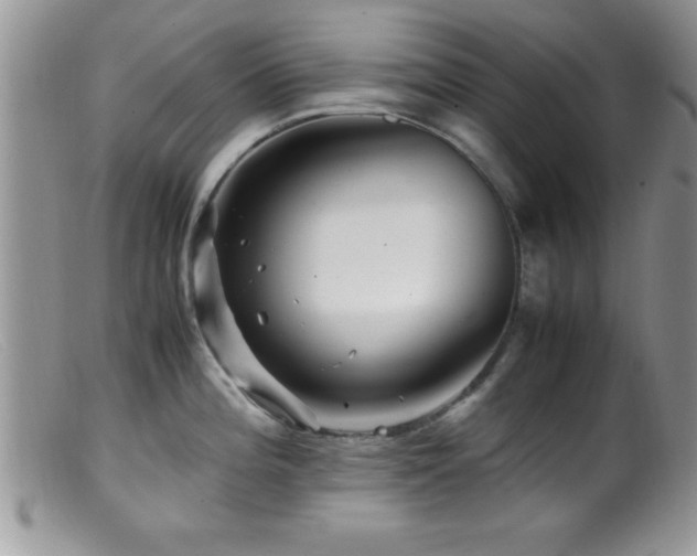 X0000099511196200805151452