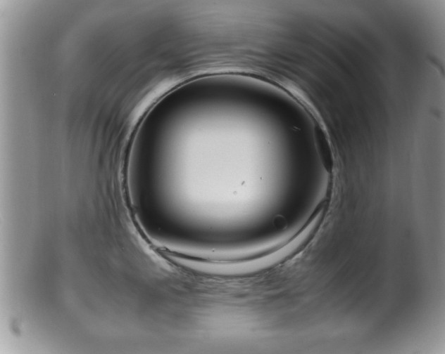 X0000099511197200805151452