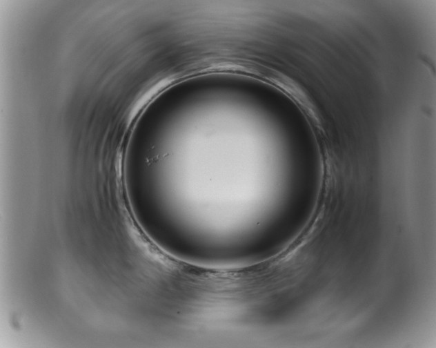 X0000099511198200805151452