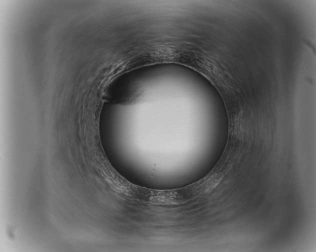 X0000099511201200805151451