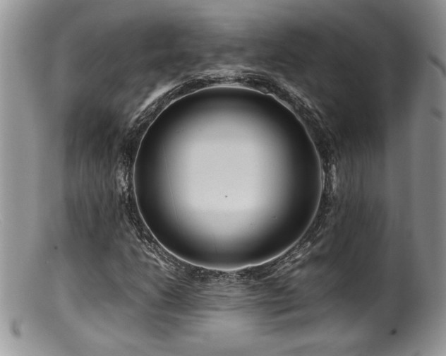 X0000099511206200805151451