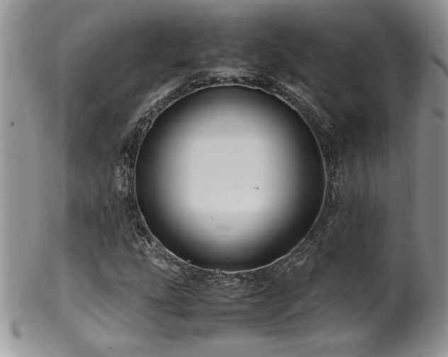 X0000099511207200805151451
