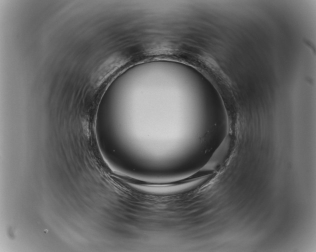 X0000099511209200805151451