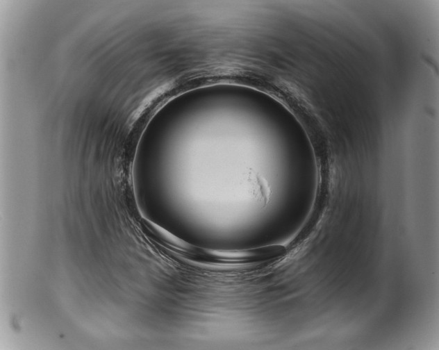 X0000099511210200805151451